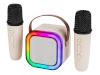 Blow kaasaskantav kõlar Bluetooth Speaker KARAOKE RGB 10W
