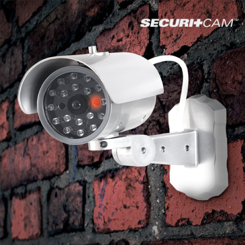 Valeturvakaamera Securitcam M1000