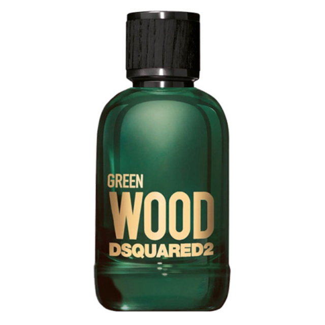 Dsquared2 parfüüm Green Wood 100ml, meestele