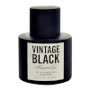 Kenneth Cole tualettvesi Vintage Black EDT 100ml, meestele