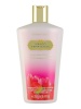 Victoria's Secret ihupiim Mango Temptation Body Lotion 250ml, naistele