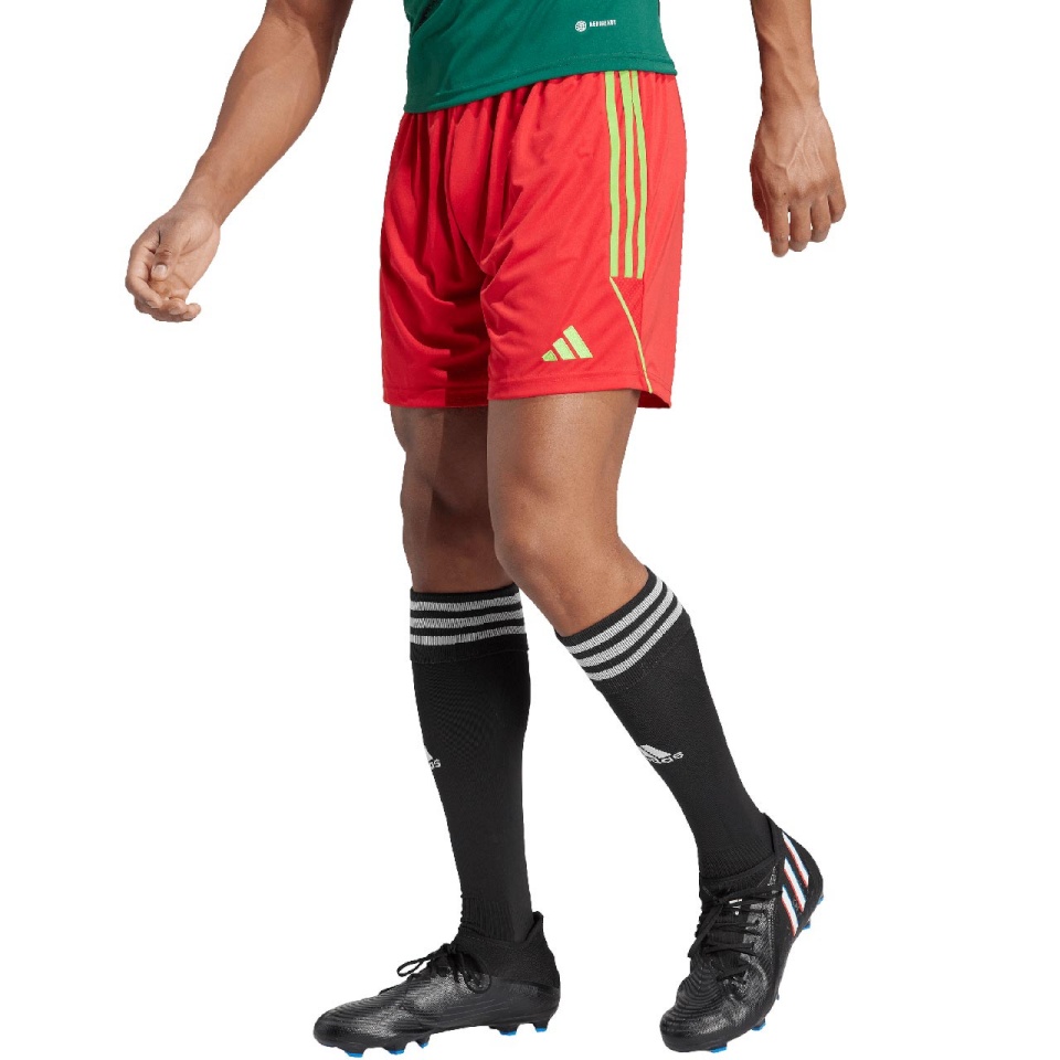 Lühikesed püksid meestele Adidas Tiro 23 League punane IB8090 L