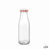 Mediterraneo Purk 0,5 L (24tk)