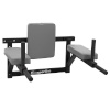 Insportline Dipiraam Wall-Mounted Dip Station RK120