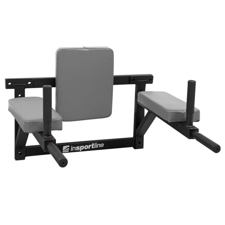Insportline Dipiraam Wall-Mounted Dip Station RK120