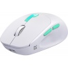 Defender hiir Wireless Mouse Nitta MM -307 valge 1600DPI