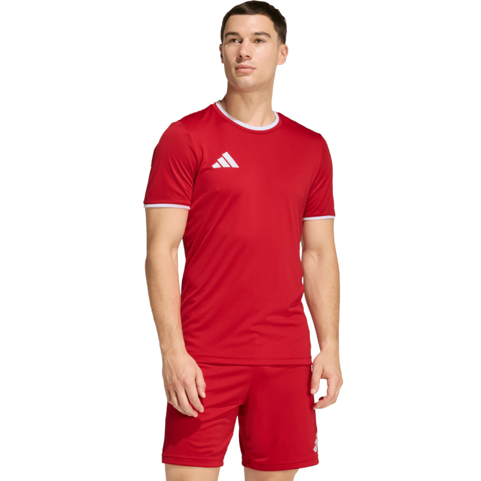 Adidas Teamwear T-särk meestele Entrada 26 Jersey punane JZ2501 suurus XXL