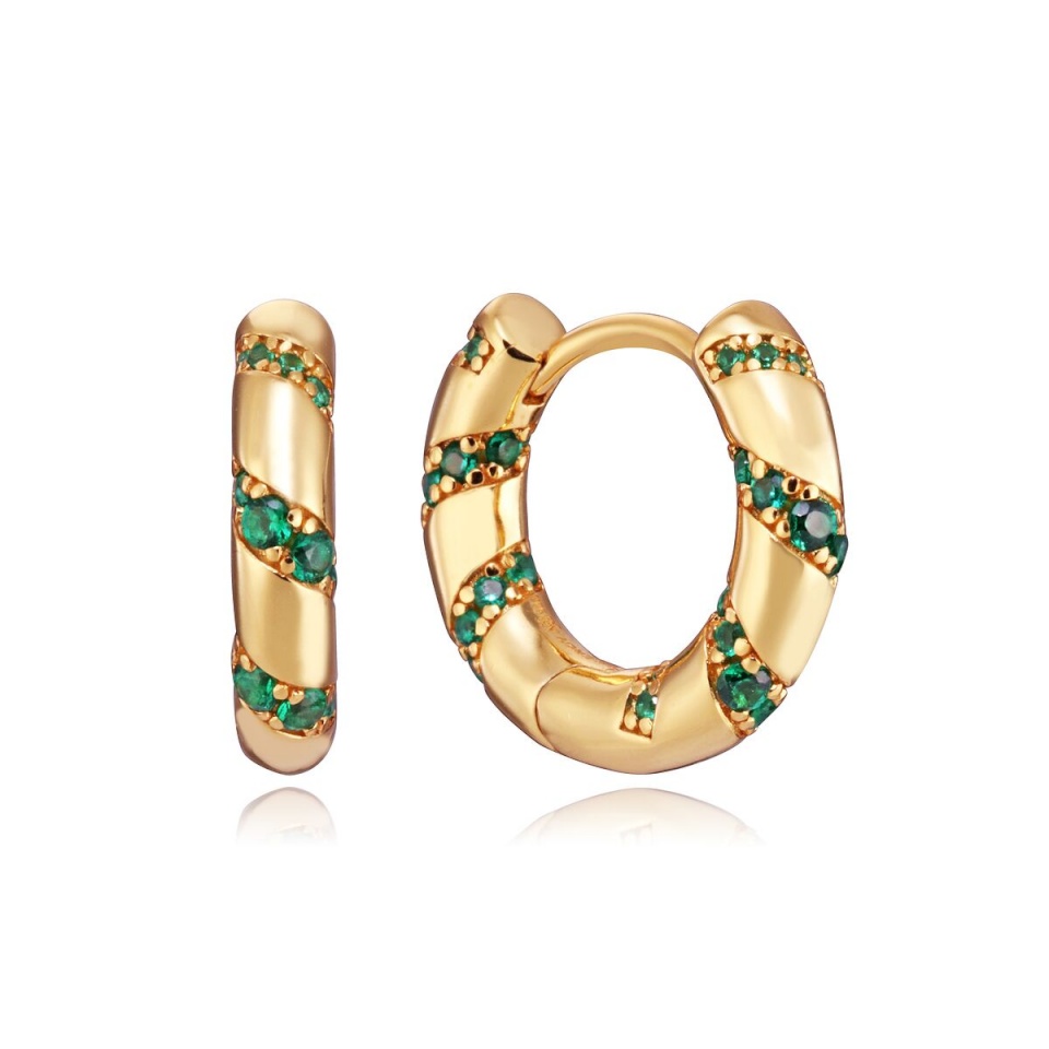 Viceroy naiste kõrvarõngad 13130E100-32