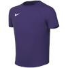 Nike Team T-särk lastele Dri-Fit Park Viii violetne HV8182 547 suurus XL