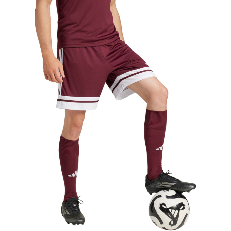 Lühikesed püksid meestele Adidas Squadra 25 bordoopunane JC8677 L