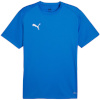 Puma T-särk meestele Teamgoal Jersey sinine 658636 02 suurus M