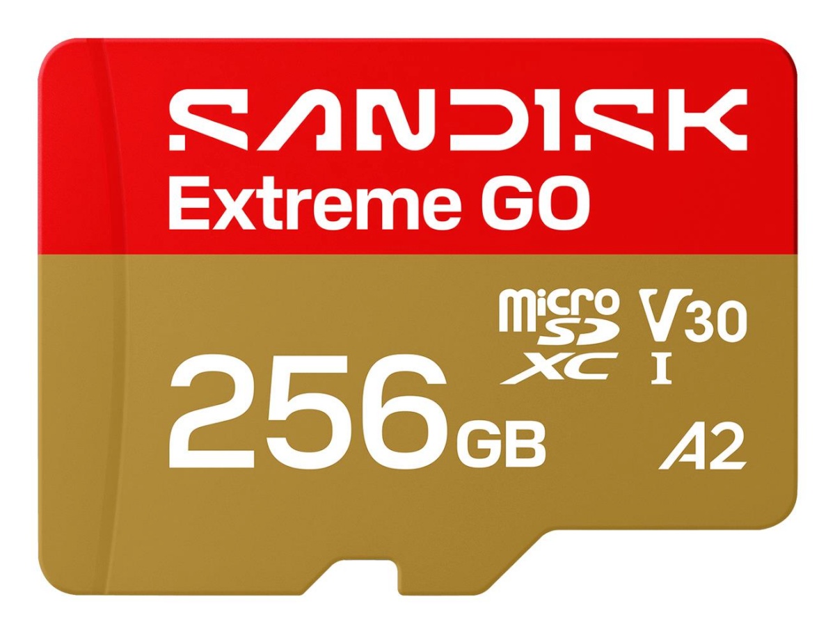 SanDisk mälukaart 256GB Extreme GO UHS-I U3 V30 microSDXC