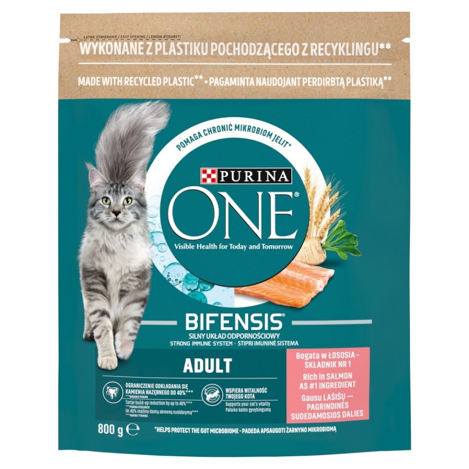 Purina Nestle kuivtoit kassile ONE Bifensis Adult Salmon, 800g