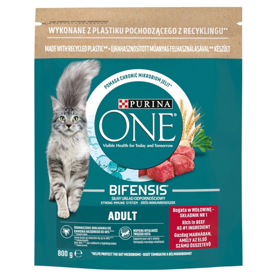 Purina Nestle kuivtoit kassile ONE Bifensis Adult Beef, 800g