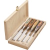 Kirschen peitlite komplekt Firmer Chisel Set WINAC in wooden box