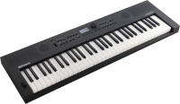 Roland digitaalne klaver GO:KEYS 5 kosketinsoitin, hall
