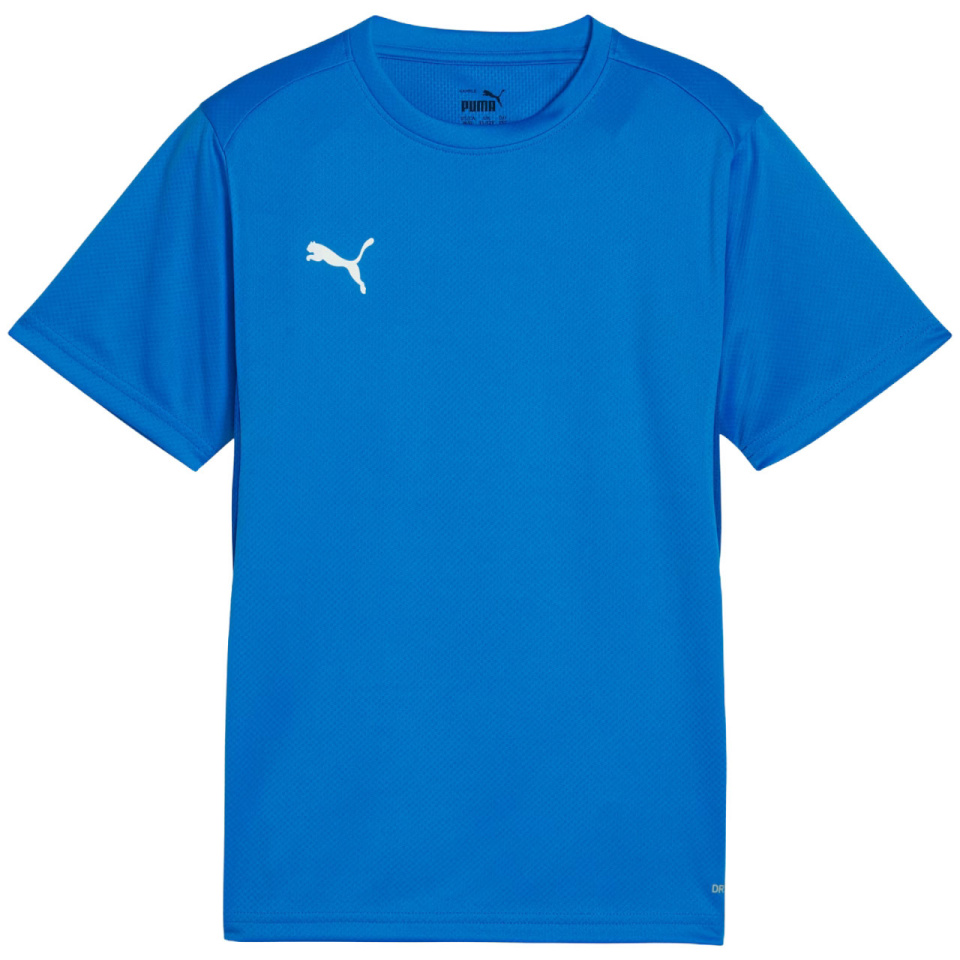 Puma T-särk lastele Teamgoal Jersey sinine 658637 02 suurus 116cm