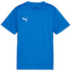 Puma T-särk lastele Teamgoal Jersey sinine 658637 02 suurus 152cm
