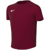 Nike Team T-särk lastele Dri-Fit Park Viii bordoopunane HV8182 677 suurus XS