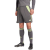 Lühikesed püksid meestele Adidas Tiro 24 hall-laimiroheline JN1993 XL