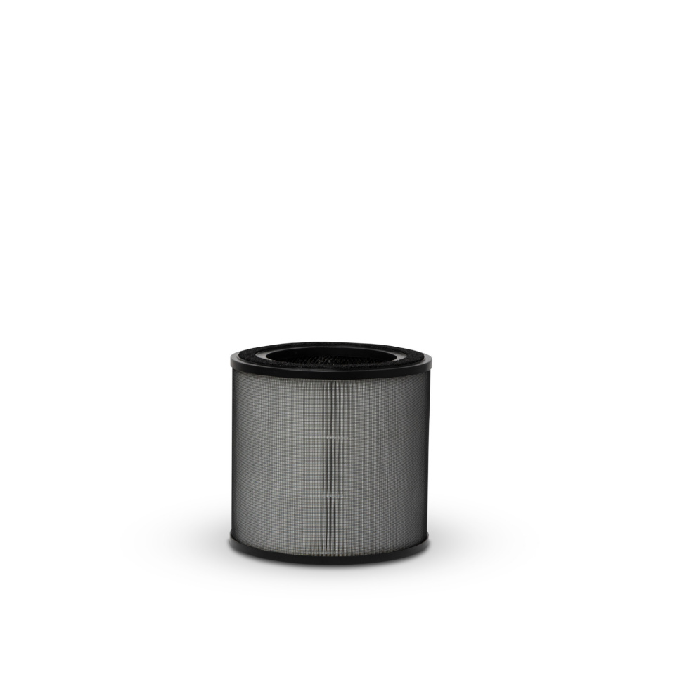 Electrolux EFFCLN2EU CLEAN peenosakeste filter