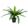 H4Y kunsttaim Boston Fern, 60cm, roheline