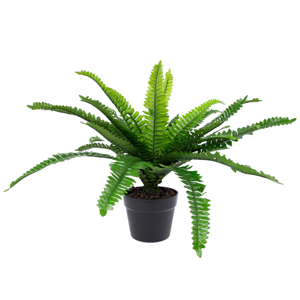 H4Y kunsttaim Boston Fern, 60cm, roheline
