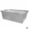 Curver kaanega säilituskarp hall Plastmass 26 L 55x19x35cm (7tk)
