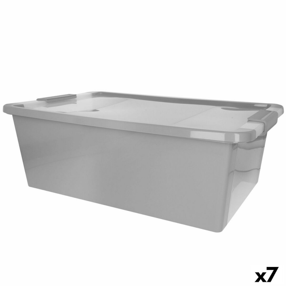 Curver kaanega säilituskarp hall Plastmass 26 L 55x19x35cm (7tk)
