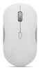 Lenovo hiir Accessories 350 Bluetooth Silent Mouse (Cloud hall) |