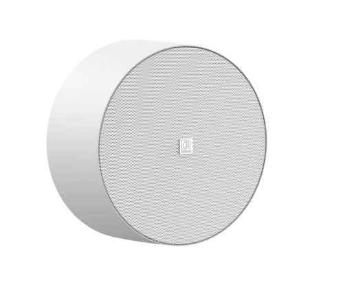 AUDAC kõlarid WALL-MOUNTED LOUDSPEAKE NELO706I/W 6,5