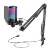 Fifine A6T tripod gaming microphone (must)
