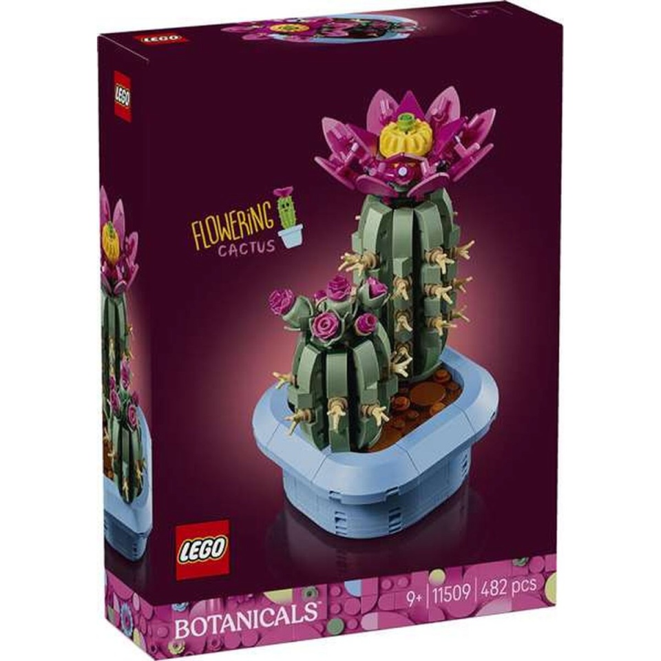 Lego klotsid konstruktor Botanicals 11509
