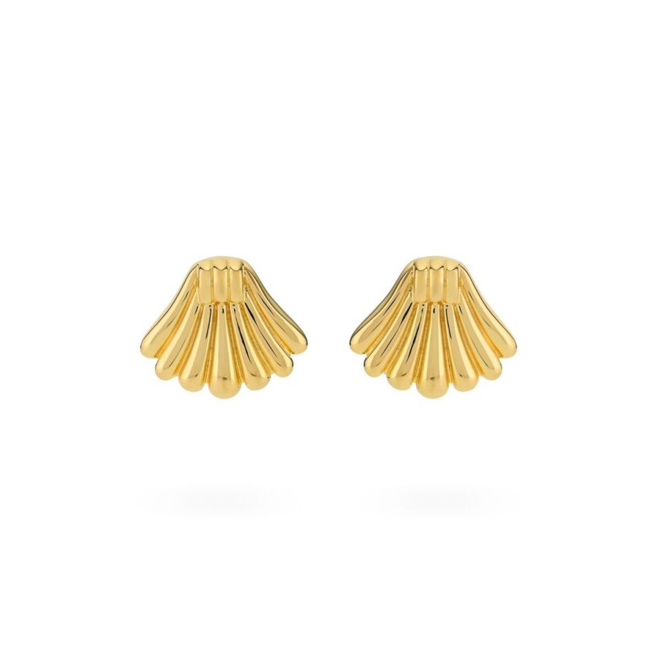 24KAE naiste kõrvarõngad 424107Y kuldne