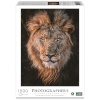 Ambassador pusle Lion Head 1000-osaline (Donal Boyd)