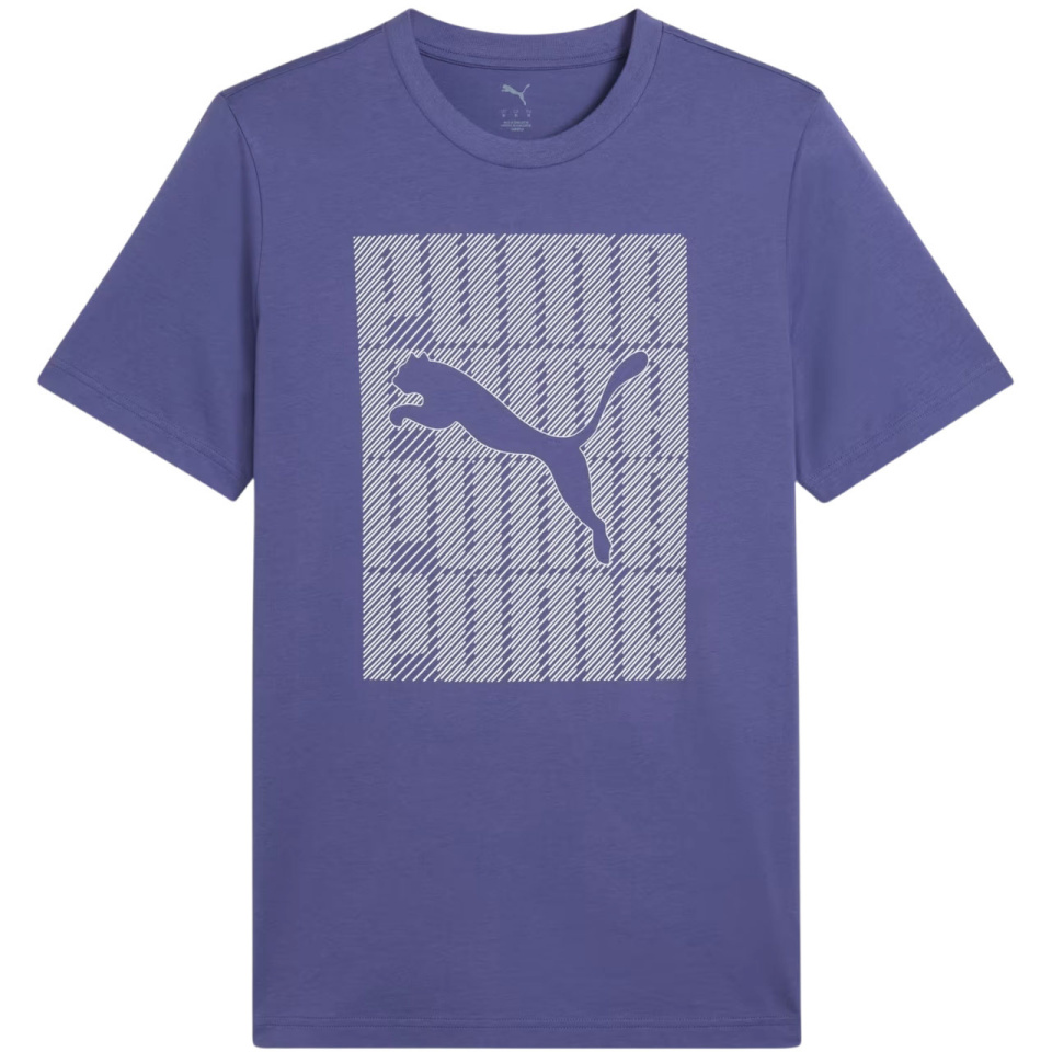Puma T-särk meestele Graphics Wording Tee sinine 684825 46 suurus S