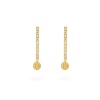 24KAE naiste kõrvarõngad 424114Y kuldne