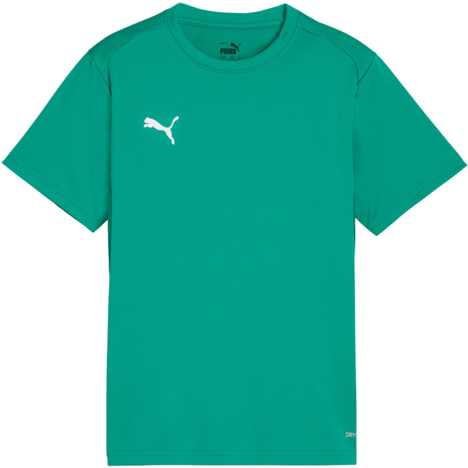 Puma T-särk lastele Teamgoal Jersey roheline 658637 05 suurus 152cm