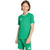 Adidas Teamwear T-särk lastele Entrada 26 Jersey roheline JZ2528 suurus 128cm