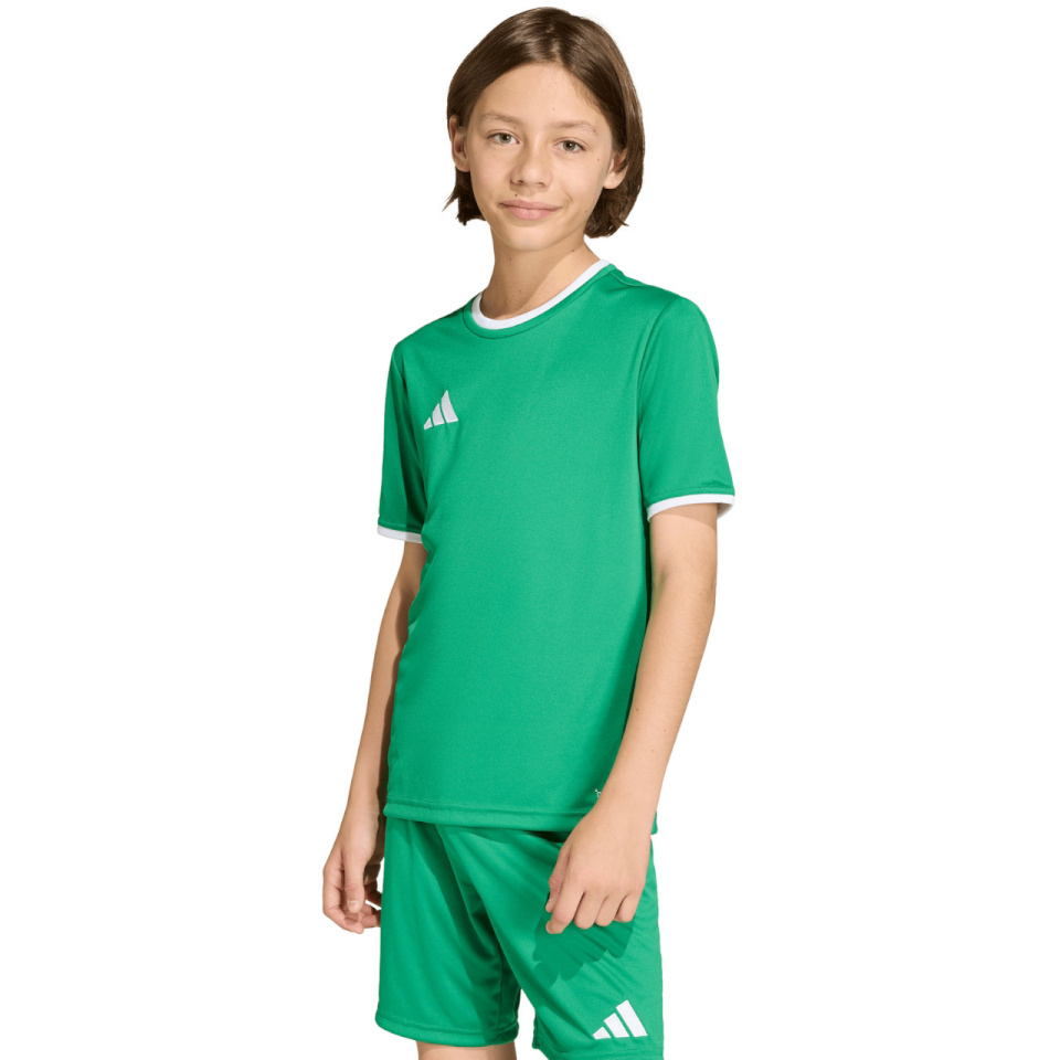 Adidas Teamwear T-särk lastele Entrada 26 Jersey roheline JZ2528 suurus 128cm