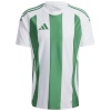 Adidas Teamwear T-särk meestele Striped 24 Jersey valge-roheline IW2148 suurus XXL