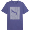 Puma T-särk meestele Graphics Wording Tee sinine 684825 46 suurus L