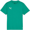 Puma T-särk lastele Teamgoal Jersey roheline 658637 05 suurus 164cm
