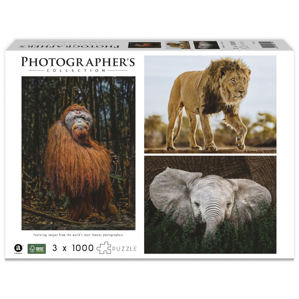 Ambassador pusle 3x1000-osaline Wildlife (Donal Boyd)