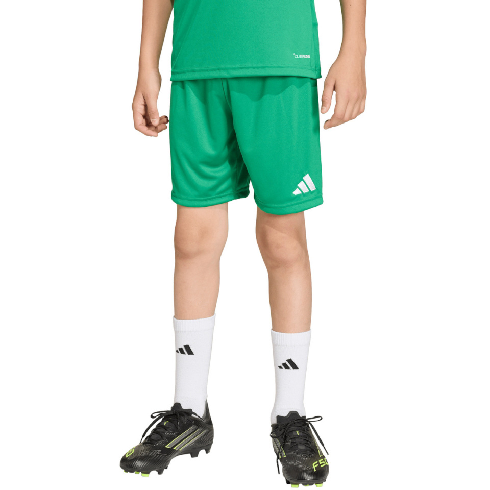 Lühikesed püksid Kids Adidas Entrada 26 JZ6530 164cm