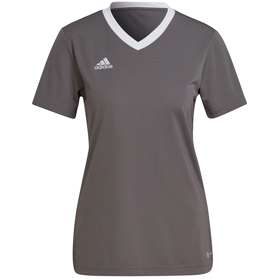 Adidas Teamwear T-särk naistele Entrada 22 Jersey hall H59848 suurus XXL