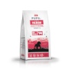 Pupil kuivtoit koerale Premium Junior Large and Extra Large Breeds Rich in Beef, 12kg