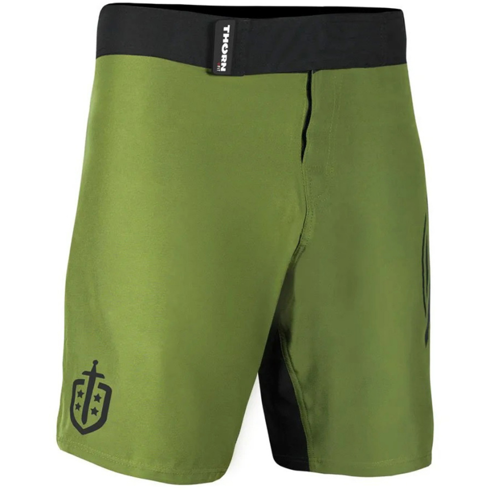 Lühikesed püksid Treningowe meestele Thorn Fit Combat 2.0 Wings roheline XL