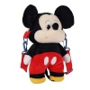 Mickey Mouse Kotid