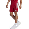 Lühikesed püksid meestele Adidas Tiro 23 League punane IB8082 S